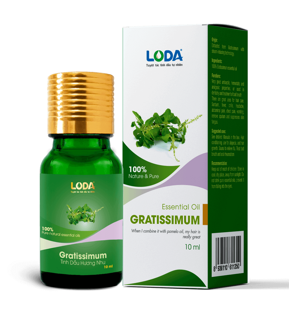 Tinh dầu Hương Nhu 10ml (thiên nhiên - nguyên chất)