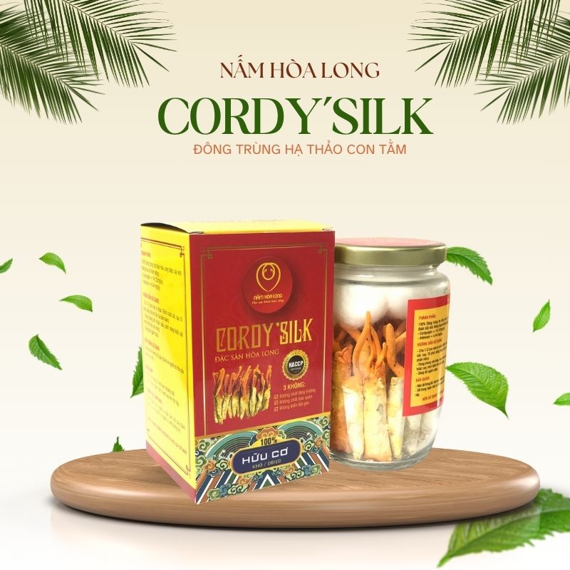Đông trùng hạ thảo CORDY'SILK