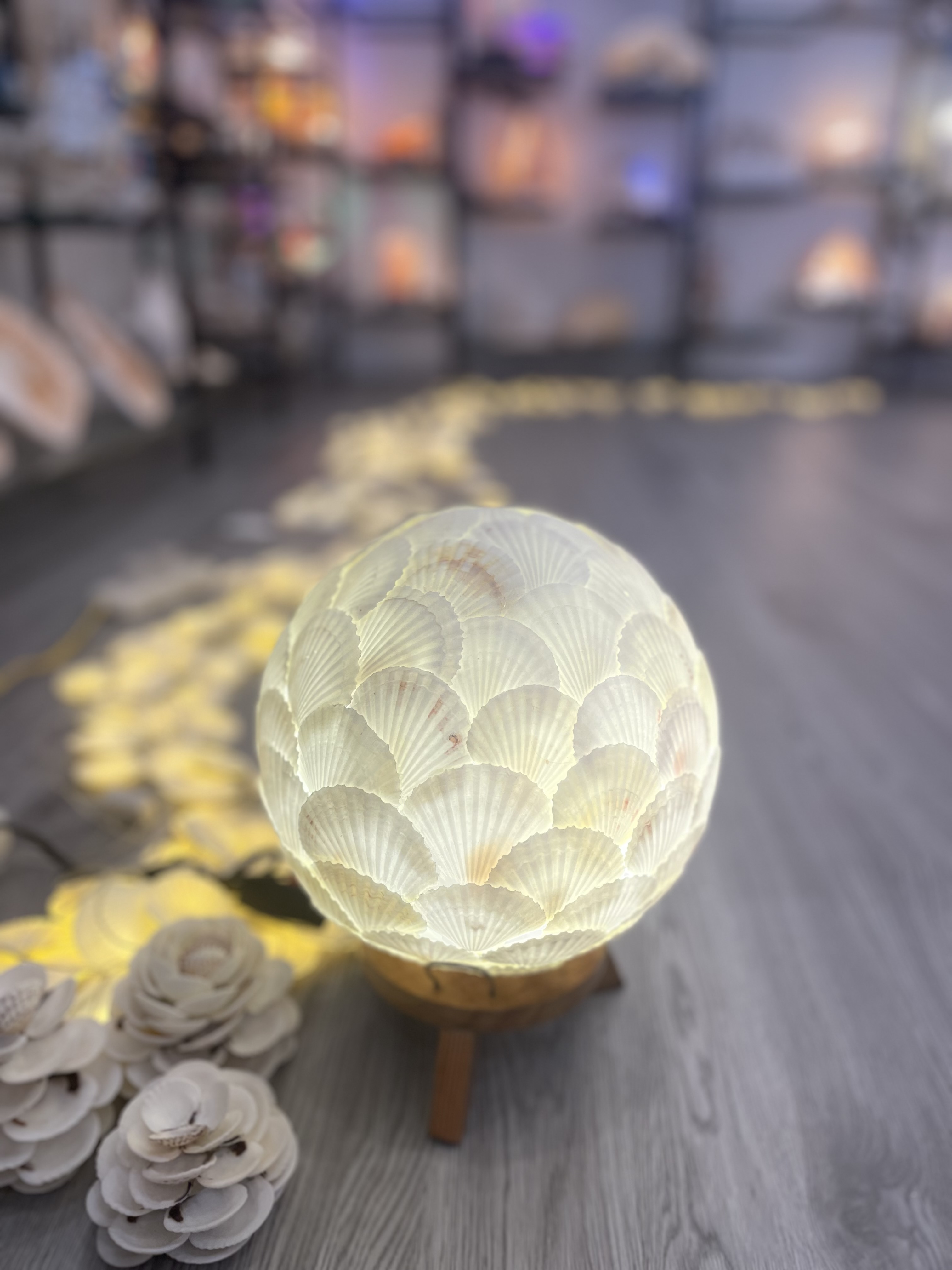 Đèn làm từ vỏ ốc biển - vỏ ốc điệp trắng