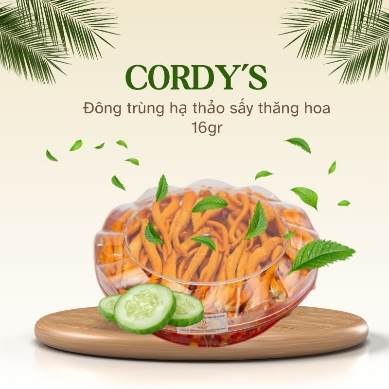 Đông trùng hạ thảo Hòa Long CORDY'S 16gr