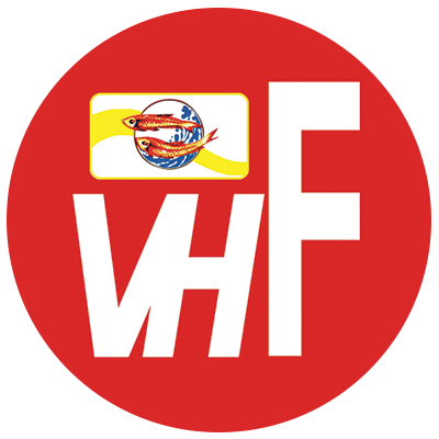 Nước Mắm Vĩnh Hương