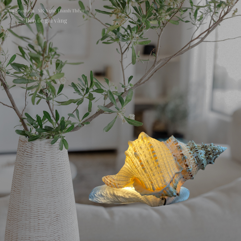 Đèn vỏ ốc Tù Và Gai