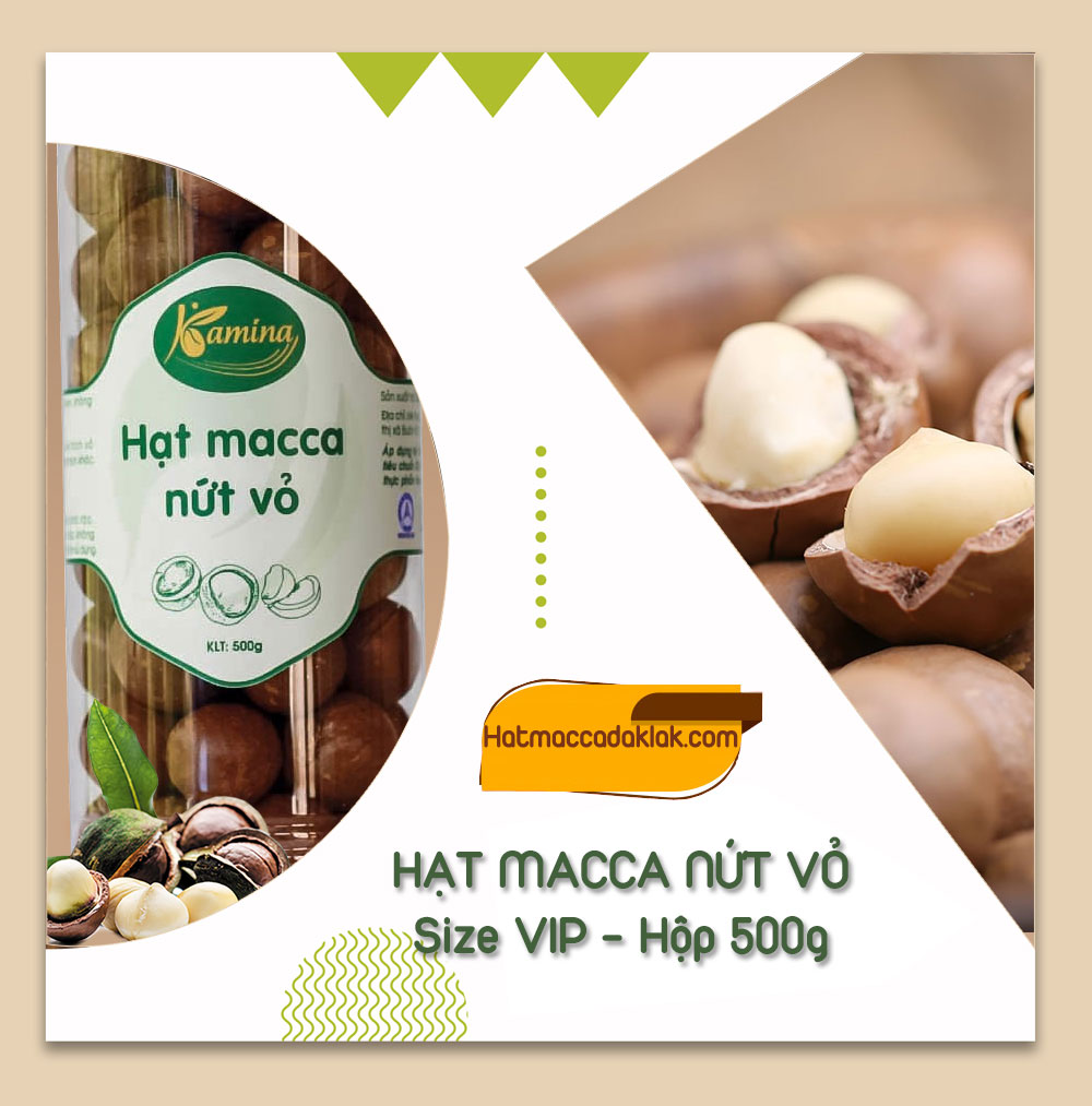 Hạt Macca nứt vỏ hộp 500g size VIP - Hạt Macca ĐăkLăk