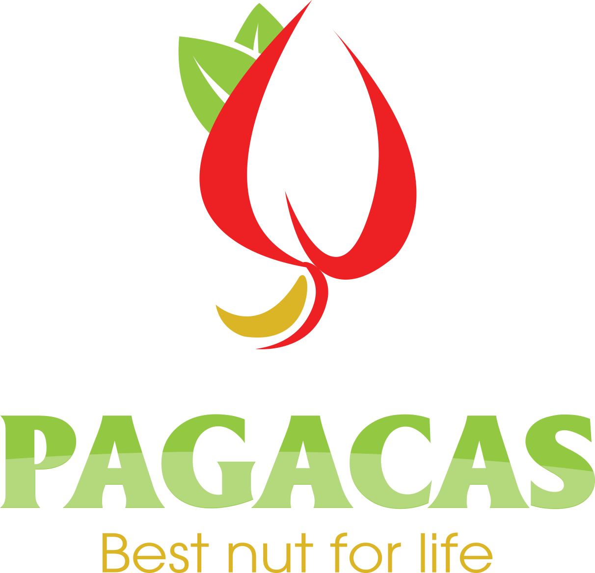 Hạt Điều Pagacas