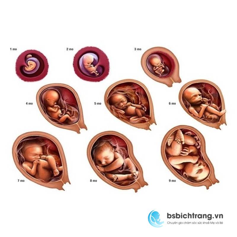 Em bé trở đầu vào thời điểm nào?