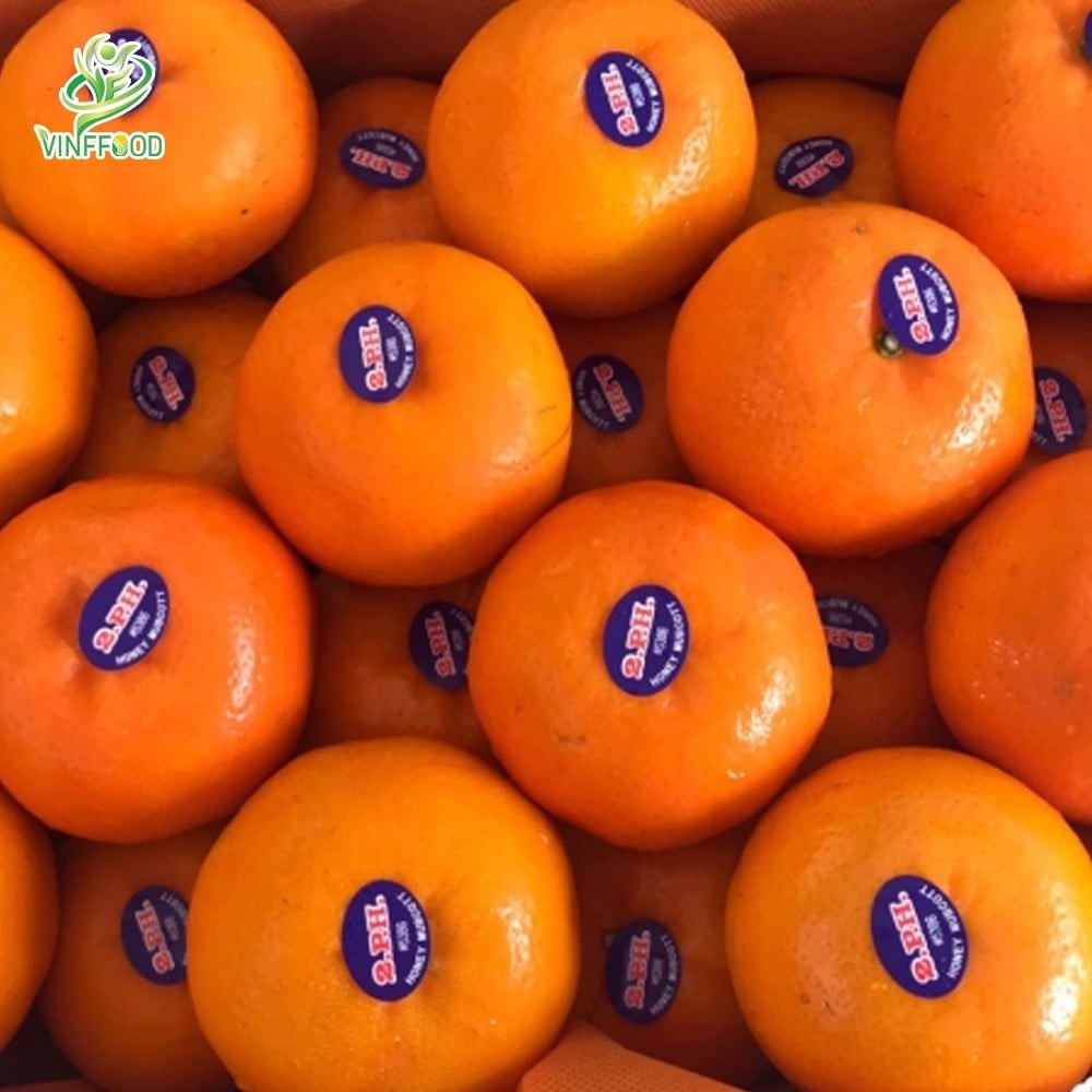 Quýt nhập khẩu Úc