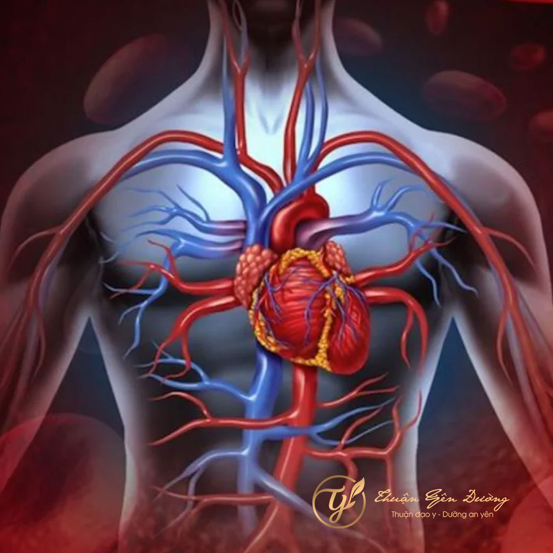 Tại sao bồi bổ khí huyết lại quan trọng?