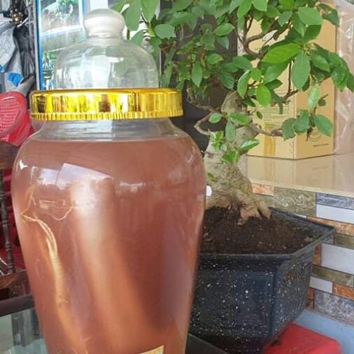 Rượu nhung nai nguyên nhánh