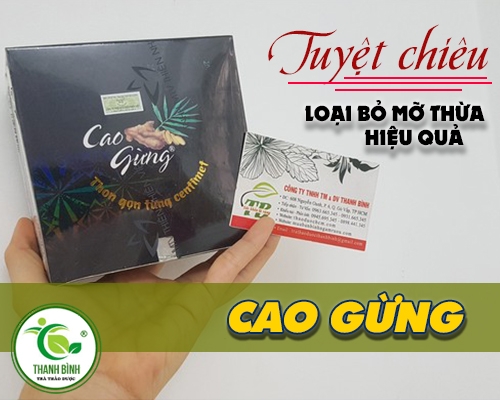 MUA BÁN CAO GỪNG TẠI QUẬN 5 GIÚP LƯU THÔNG TUẦN HOÀN MÁU HIỆU QUẢ NHẤT