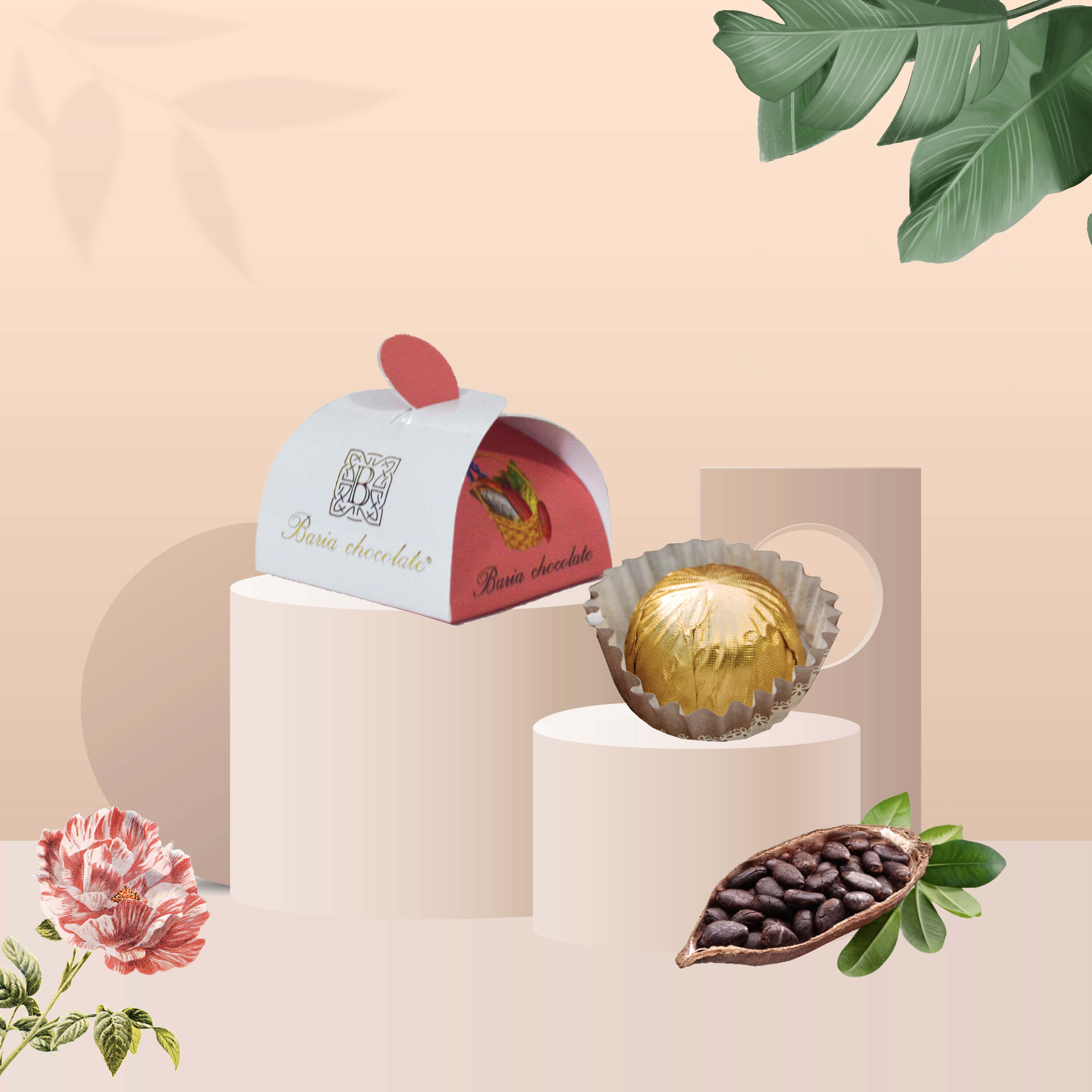 Sô cô la đen nhân hạt mắc ca