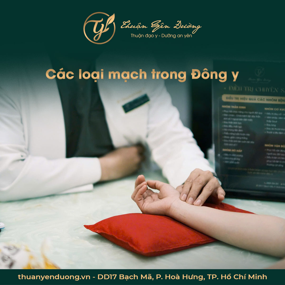 Các loại mạch trong Đông y – Góc nhìn chuyên sâu chia sẻ từ Thuận Yên Đường