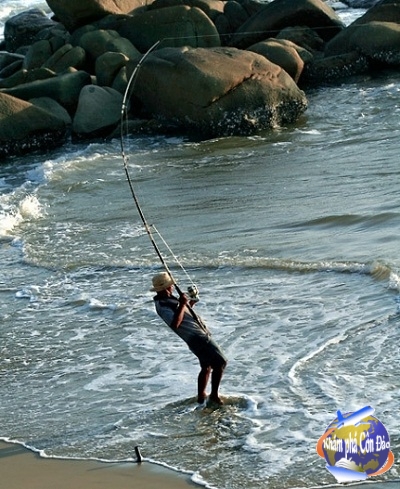 Câu cá Côn Đảo