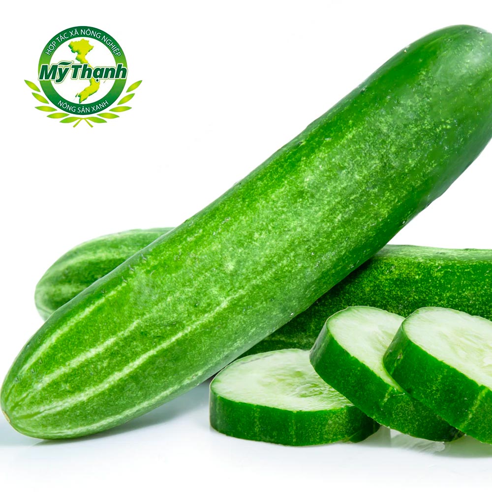 [Chuẩn VietGAP] Dưa leo giống nhật Song An Food vỉ 500g (3 trái quấn)