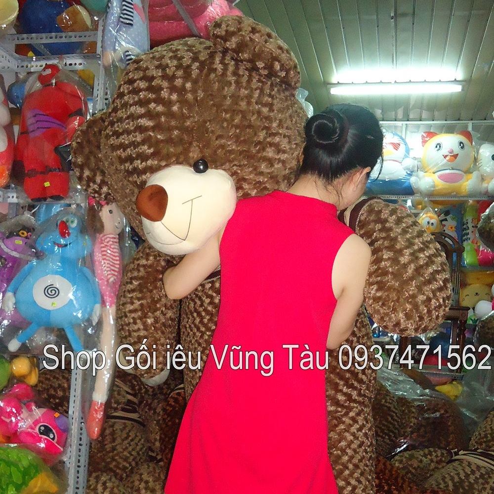 Gấu Bông Vũng Tàu