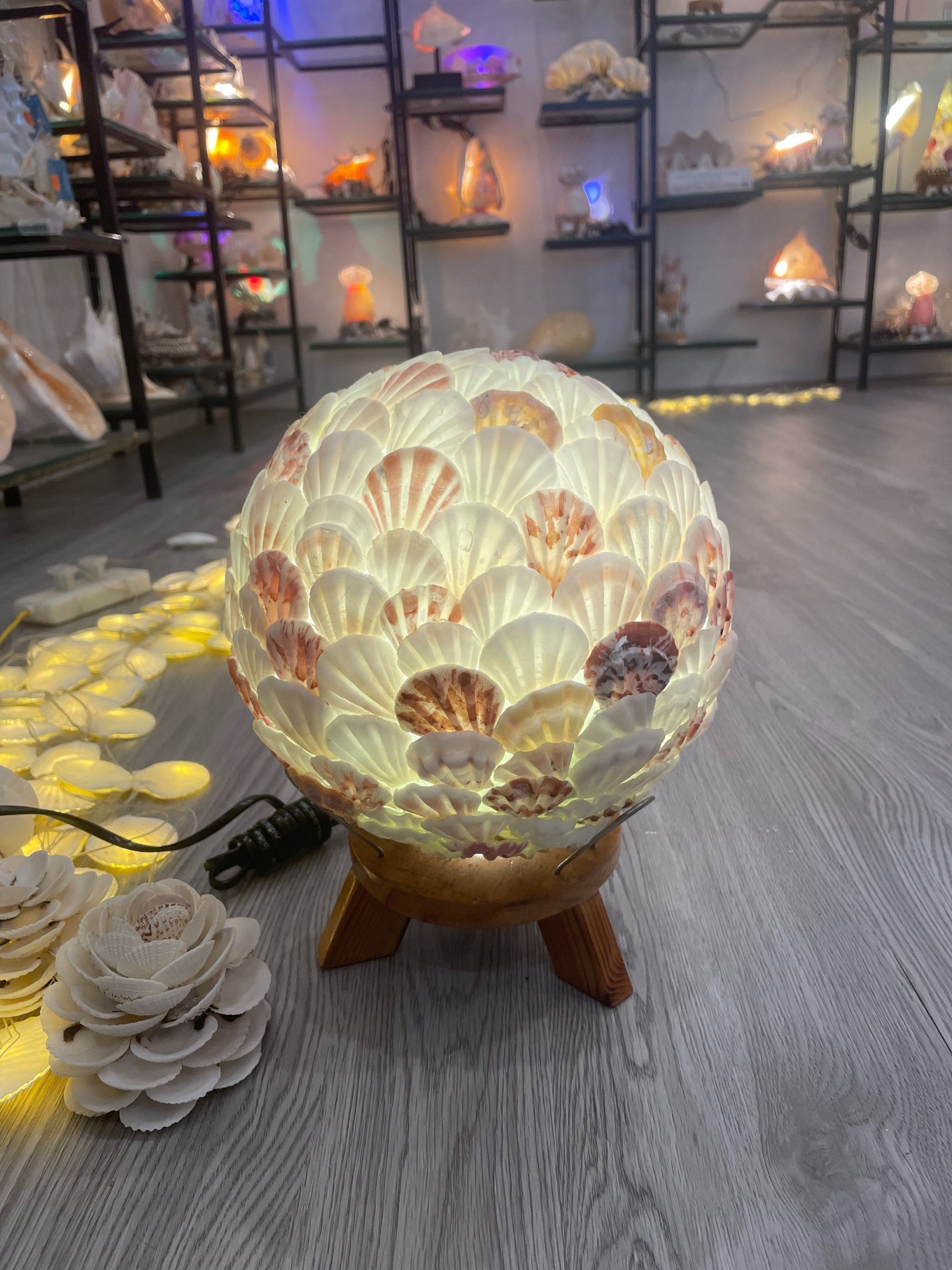 Đèn làm từ vỏ ốc biển - vỏ ốc điệp màu