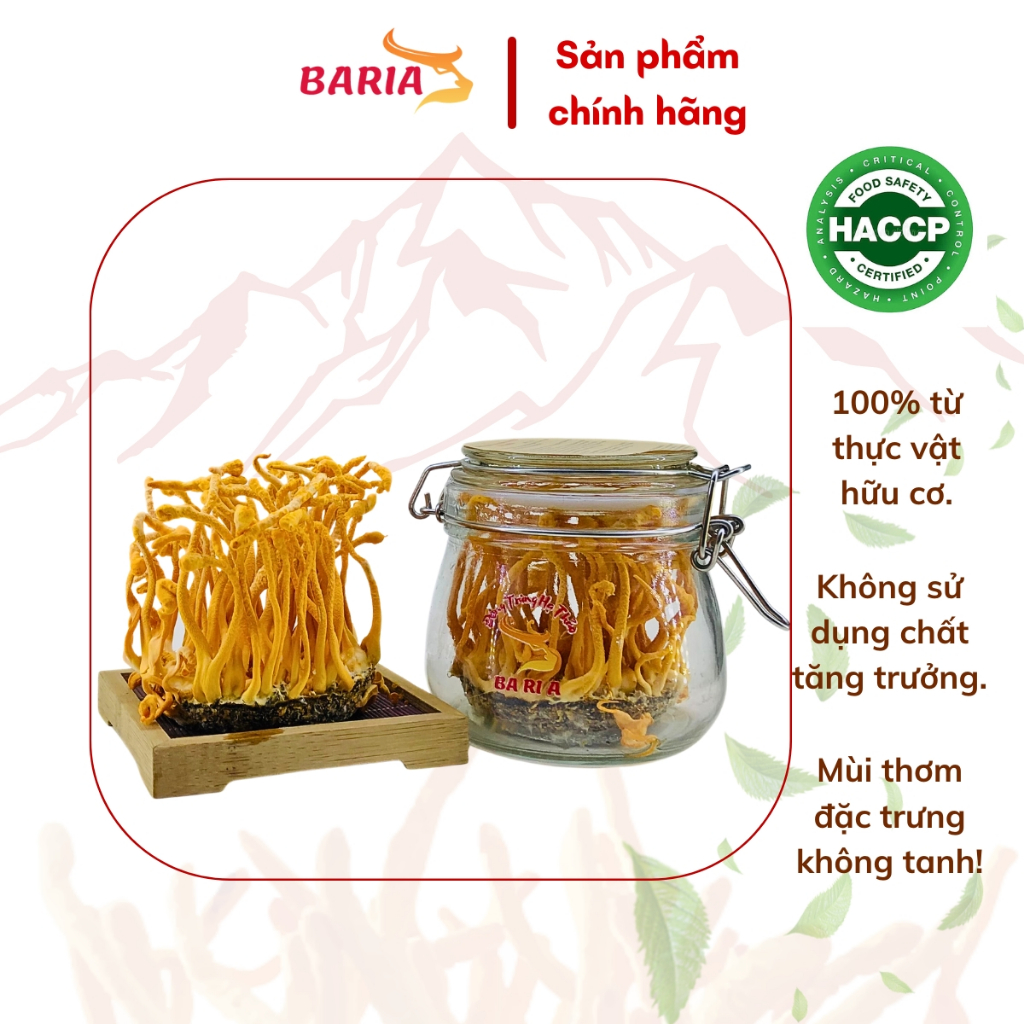 Đông trùng hạ thảo tươi BARIA 100 gam